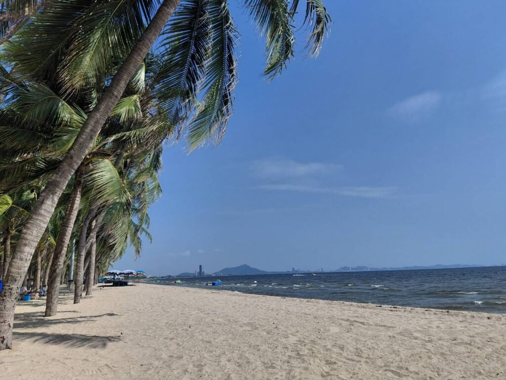 บางแสนน